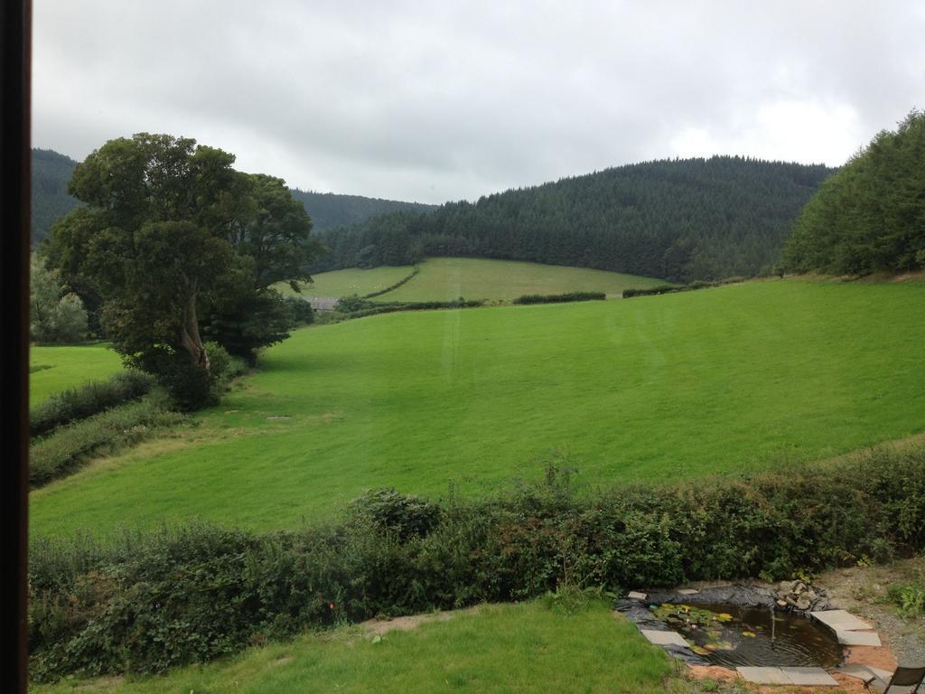 Bed and Breakfast Laurel Bank Abbey-Cwmhir Exterior foto